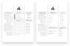 Assistant Accountant 2 Page CV Template